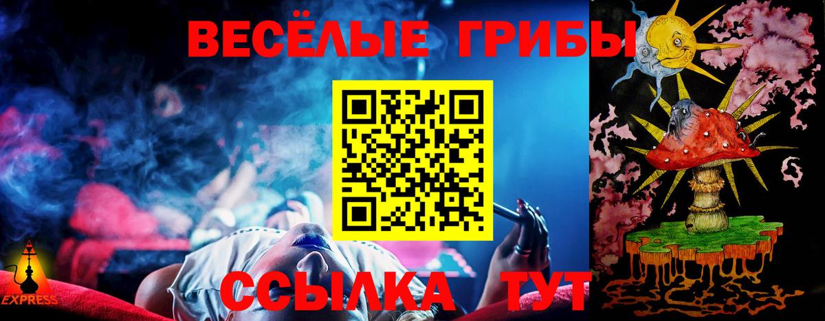 Псилоцибиновые грибы Psilocybine cubensis  Вход с VPN  Нижний Тагил 