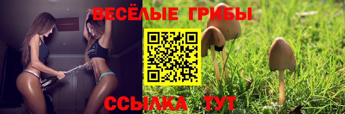 Галлюциногенные грибы GOLDEN TEACHER Нижний Тагил